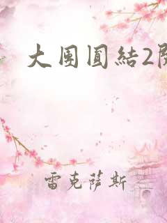大团圆结2阅读