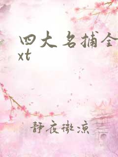 四大名捕全集txt