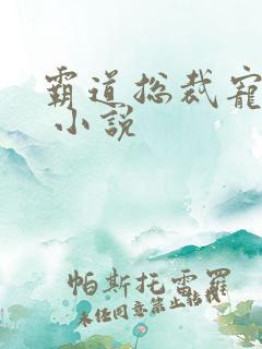 霸道总裁宠上天 小说