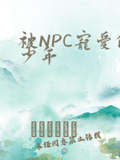 被NPC宠爱的少年