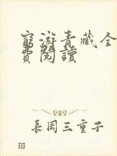 穷游青藏全文免费阅读