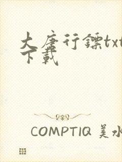 大唐行镖txt下载