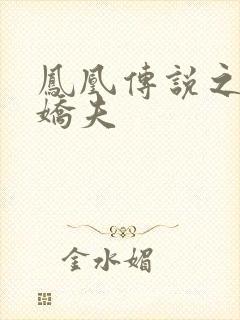 凤凰传说之独宠娇夫