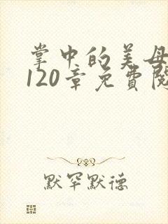 掌中的美母版主120章免费阅读