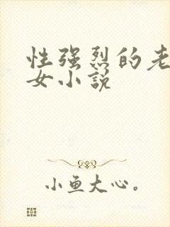 性强烈的老年妇女小说