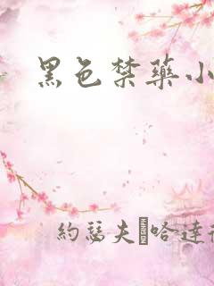 黑色禁药小说