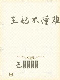 王妃不懂规矩