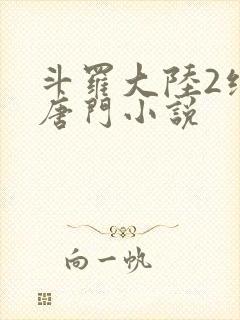 斗罗大陆2绝世唐门小说