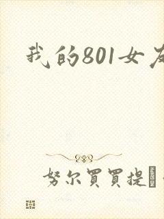 我的801女友