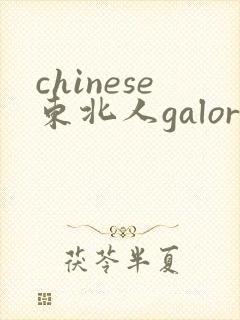 chinese东北人galore