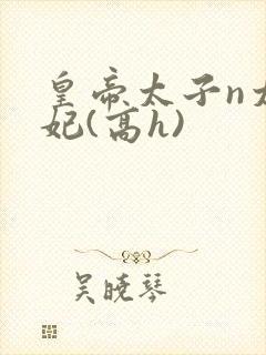 皇帝太子n太子妃(高h)