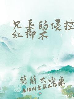 兄长的侵控by红柳木