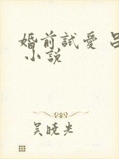 婚前试爱 吕颜 小说