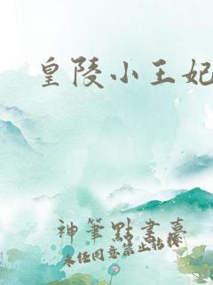 皇陵小王妃