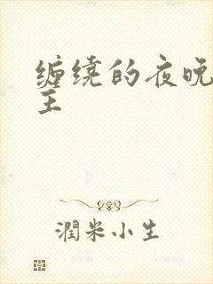 缠绕的夜晚双男主