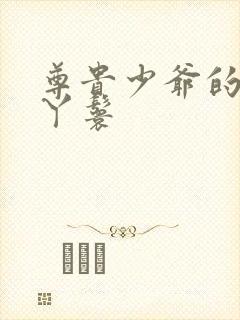 尊贵少爷的大牌丫鬟