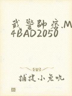 武警帅痞.MP4BAD2050