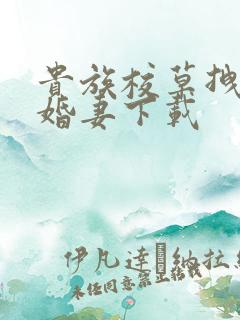 贵族校草拽拽未婚妻下载