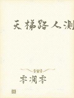 天梯路人测试器