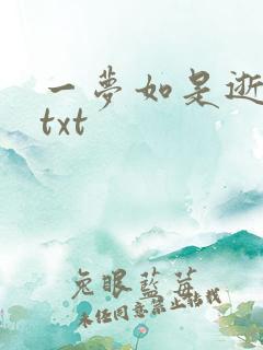 一梦如是逝水长txt