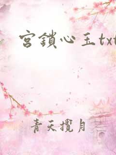 宫锁心玉txt