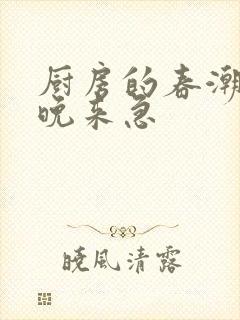 厨房的春潮带雨晚来急