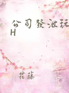 公司发泄玩具lH