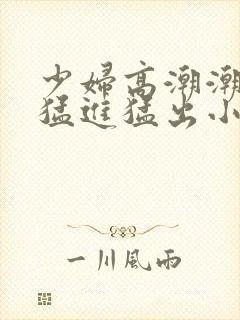 少妇高潮潮喷到猛进猛出小说