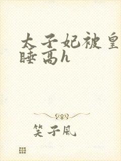 太子妃被皇上强睡高h