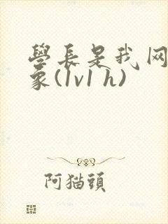 学长是我网恋对象(1v1 h)