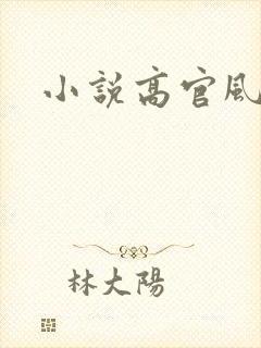 小说高官风流