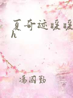 夏奇迹暖暖快穿h