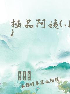 极品阿姨(小说)