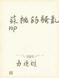 苏桃的骚乱文肉np