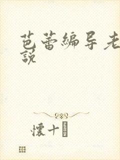 芭蕾编导老师小说