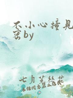 不小心撞见的秘密by