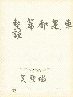 整篇都是车的小说