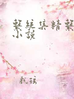 系统集精系统 小说