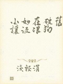 小如在破旧仓库让流浪狗