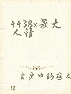 4438x最大人情