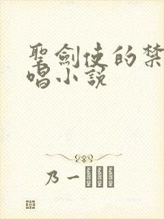 圣剑使的禁咒咏唱小说