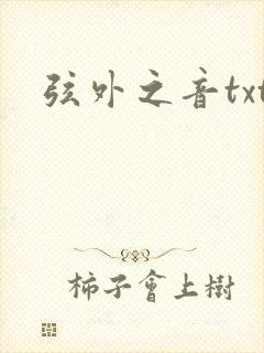 弦外之音txt