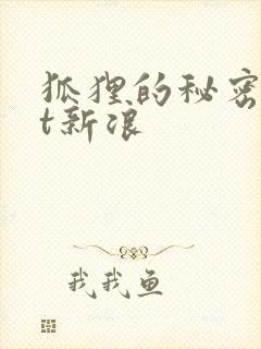 狐狸的秘密txt新浪