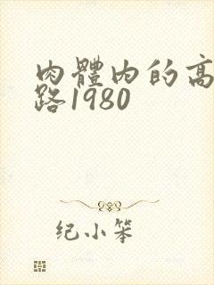 肉体内的高速公路1980