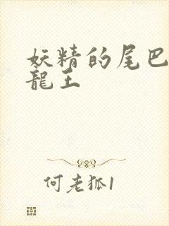 妖精的尾巴之幻龙王