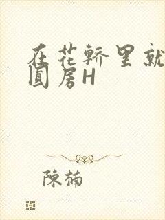 在花轿里就开始圆房H