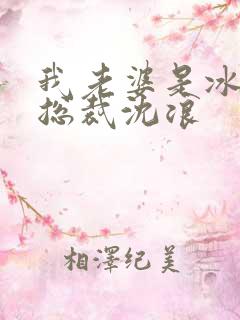 我老婆是冰山女总裁沈浪