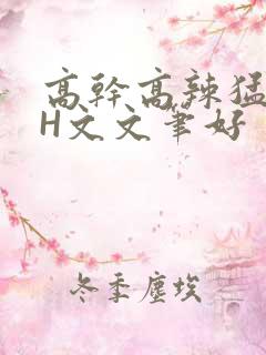 高干高辣猛高辣H文文笔好