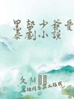 黑帮少爷爱上我泰剧小说