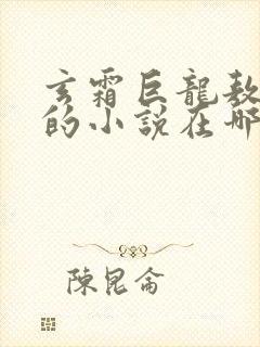 玄霜巨龙敖无极的小说在哪里看